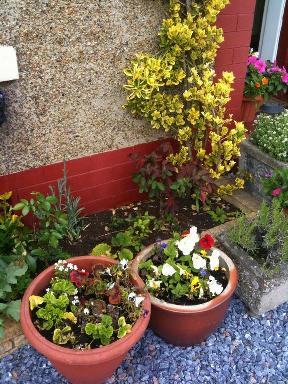 Almond House B&B Edinburgh Dış mekan fotoğraf