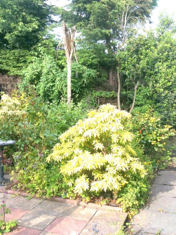 Almond House B&B Edinburgh Dış mekan fotoğraf